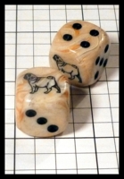 Dice : Dice - 6D - jspassnthru Pug - Private Sale Jan 2014